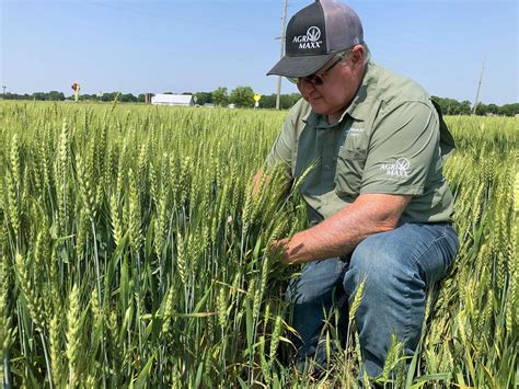 why are seed reps so well paid